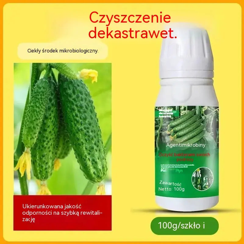 🥒🥒【3butelek】Systemiczny fungicyd do ogórków – skuteczna kontrola bakteriozy, żółtej plamistości i chorób liści