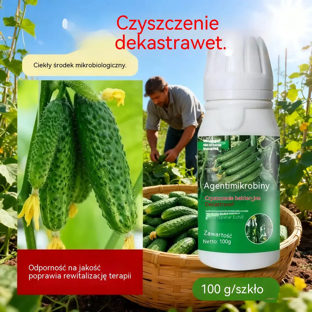 🥒🥒【3butelek】Systemiczny fungicyd do ogórków – skuteczna kontrola bakteriozy, żółtej plamistości i chorób liści