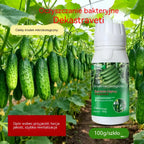 🥒🥒【3butelek】Systemiczny fungicyd do ogórków – skuteczna kontrola bakteriozy, żółtej plamistości i chorób liści